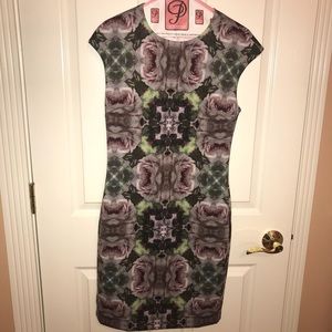 Ted Baker Dress 🌸